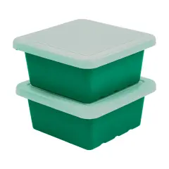 Square Bin with Lid, Storage Containers, 2-Pack Green