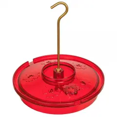 Hummingbird Haven Birdfeeder