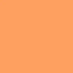 Pure Solid in Marmalade (pe-539) | Pure Solids | AGF Studio | Art Gallery