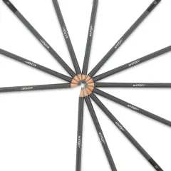 artPOP! Professional Drawing Pencil Set of 12, 6B &ndash; 4H Graphite Art Pencils with Hexagonal Grip, Ideal for Sketching, Art Drawings, and Shading, Includes Metal Tin