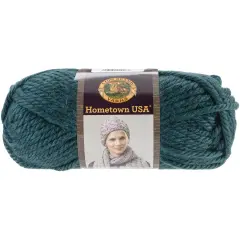Multipack of 24 - Lion Brand Hometown Yarn-Peacock