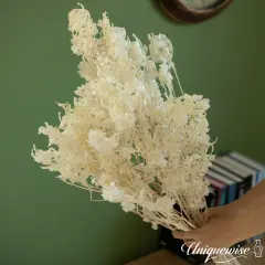 Uniquewise Preserved Real Floral Stems Chic Vase Fillers & Accents for Bouquets Centerpieces & Ornamental Displays Ideal for Home Office Boutique Cafe Resto Bar and Event Decor White pansy