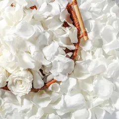 Real Dried Ivory White Rose Petals, Frozen Preserved Petals for, Wedding Party Decorations