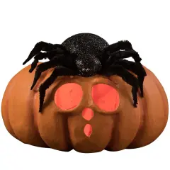 Spider on Pumpkin JOL 12.5"