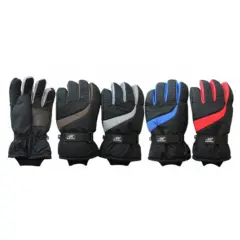 Solid Wing Assorted Ski Gloves for Winter Sports