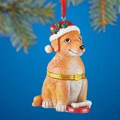 Collections Etc Animal Ornament Trinkets