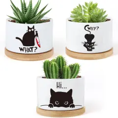 3PCS Funny Printed Ceramic Plant Pots &ndash; Succulent Planters with Drainage & Saucers, Gift for Women
