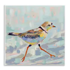 Stupell Industries Coastal Plover Abstract Bird Wall Plaque Design By Jeanette Vertentes