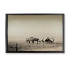 Stupell Industries The Herd Monochrome Horses Floating Frame, design by Roberta Murray