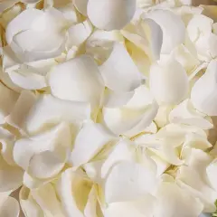 Dried Real White Rose Petals, Freeze Preserved Flower Petals 1.75oz for Valentine's Day Gifts Wedding Party Decor