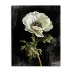 Stupell Industries Anemone on Black Canvas Wall Art Design by Danhui Nai
