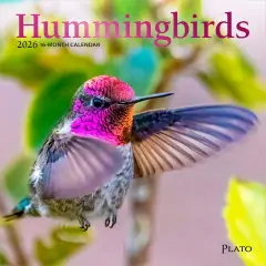 Hummingbirds | 2026 7 x 14 Inch (Hanging) Monthly Mini Wall Calendar | Foil Stamped Cover