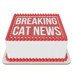 Breaking Cat News Edible Cake Topper