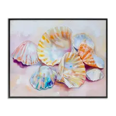 Stupell Industries Pile of Various Seashells Framed Giclee Design by Arlington Prints