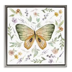 Stupell Industries Cottage Butterfly Botanicals Framed Floater Canvas Wall Art Design by Carol Robinson