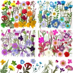 140Pcs Dried Pressed Flowers -MultiColor