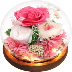 Preserved Flowers,Rose in Glass Dome with LED Light, Gifts for Her, Women, Mom,Grandma,Girlfriend, Wife- Style4