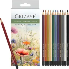 Charcoal Pencils, Set of 12 Premium, Watersoluble for Vivid Colors