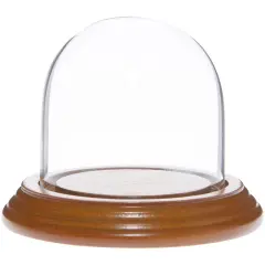 Plymor 3" x 3" Glass Display Dome Cloche Oak Veneer