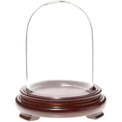 Plymor 3" x 4" Glass Display Dome Cloche Walnut Wood Veneer