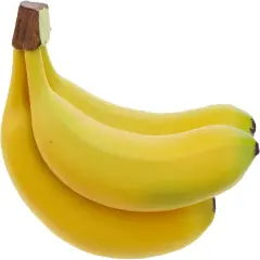 Realistic Lifelike Artificial Banana