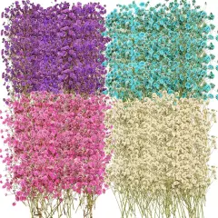 200 Pcs Dried Baby's Breath Flowers Preserved Baby's Breath (4 Colors)
