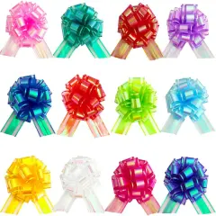 24 Pcs Rainbow Finish Bows for Gift Wrapping Set, 6 Inch Gift Bows, Party Decorations, DIY Crafts, Wedding Decorations,Party Supplies(Rainbow Multi-Color)