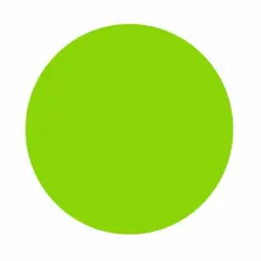 Silhouette Smooth Heat Transfer - 9" - Light Green