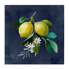 Stupell Industries Lemon Branches on Blue Canvas Wall Art Design by Danhui Nai