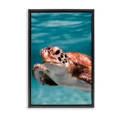 Stupell Industries Underwater Sea Turtle Swim Framed Floater Canvas Wall Art Design by Max Blakesberg Studios