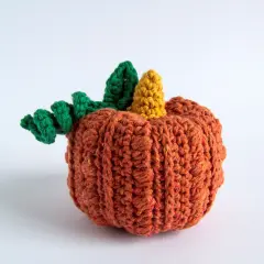 DIY Crochet Kit by HoookedPumpkin Jack PAK336