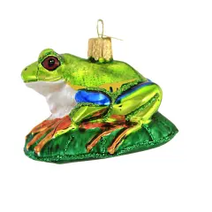 Old World Christmas 2.25 In Red-Eyed Tree Frog Tree Ornament , Superpower Of Nature Green