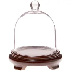 Plymor 6" x 7" Bell Jar Glass Display Dome Cloche Walnut Wood Veneer