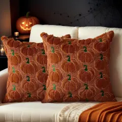 Set of 2 Fall Halloween Throw Pillow Covers 20x20