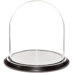 Plymor 9.75" x 10" Glass Display Dome Cloche Black Wood Veneer