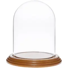 Plymor 4" x 5.25" Glass Display Dome Cloche Oak Veneer