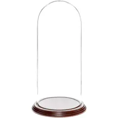 Plymor 5.5" x 13" Glass Display Dome Cloche Dark Mahogany Veneer