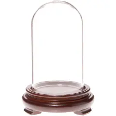 Plymor 2.5" x 4.5" Glass Display Dome Cloche Walnut Wood Veneer