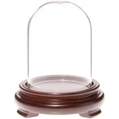 Plymor 2.5" x 3.5" Glass Display Dome Cloche Walnut Wood Veneer