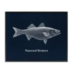 Stupell Industries Vineyard Stripers Fish Framed Giclee Design by Phillipa Katz