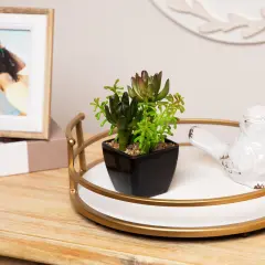 Northlight Potted Artificial Succulent Arrangement - 6" Green