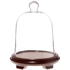 Plymor 10" x 13" Bell Jar Glass Display Dome Cloche Walnut Wood Veneer