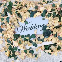 Mix Dried Bio Flower Rose Petals Confetti, 20+ Cups of Ivory White Roses & Eucalyptus Leaves, Real Petals for Wedding Parties