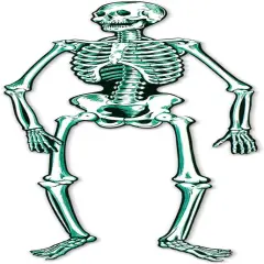 Jointed Skeleton Party Accessory (1 count) (1/Pkg)