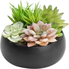 Mini Artificial Succulent in Pot, Fake Plant Arrangement in Black Ceramic Planter Bowl