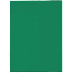 Plymor 9" x 12", Green 2 Mil Flat Open Plastic Poly Bags