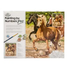 PBN-PRO2 | Painting by Numbers Pro&trade; 22pc 16" x 20" Galloping Horses Project