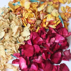 Dried Rose Flower Petals Biodegradable Confetti, 30 Cups Mix Real Natural White Pink Yellow Rose Petals for Wedding Proposal Party Valentine's Day Decor Flower Girls