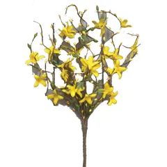 Star Forsythia Spray, 18"