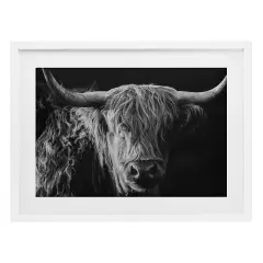 Stupell Industries Scottish Highland Portrait Framed Print Under Glass, design by Crystal Lynn Collins